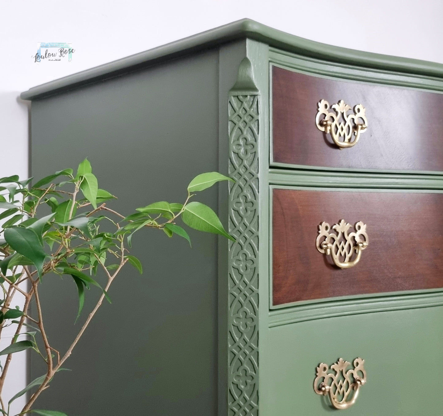 Serpentine Chest of Drawers in Green with Mahogany Drawer Fronts